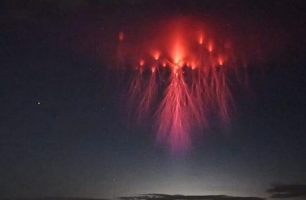 Captaron en fotos medusas rojas en el cielo