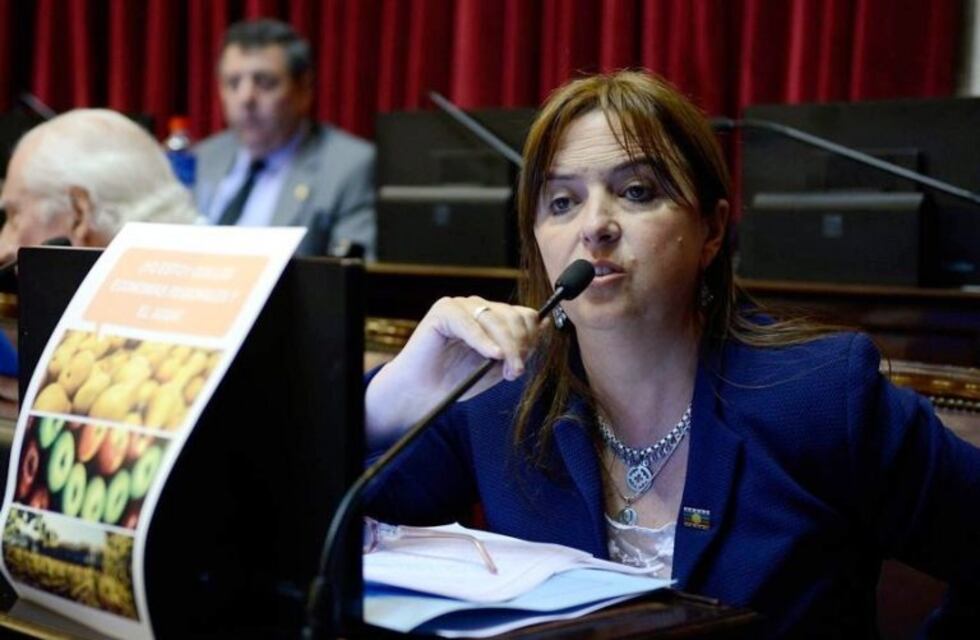 "Es una campaña contaminada de denuncias judiciales", dijo Odarda candidata de Soria en Río Negro