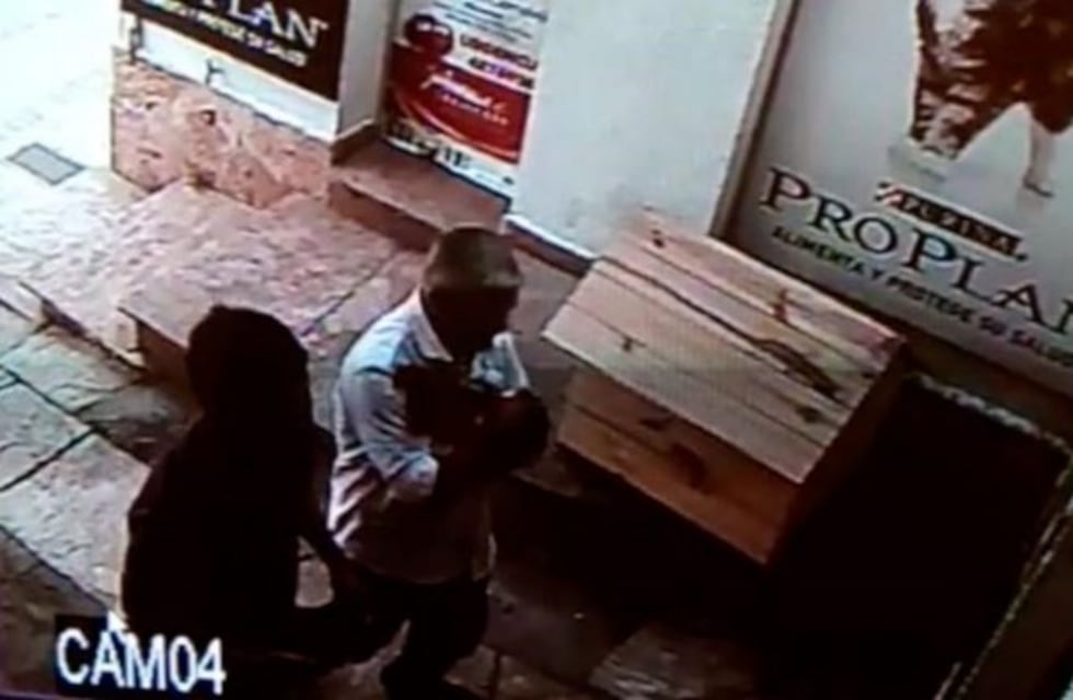 "Perro cómplice": insólito robo en una veterinaria de barrio Observatorio