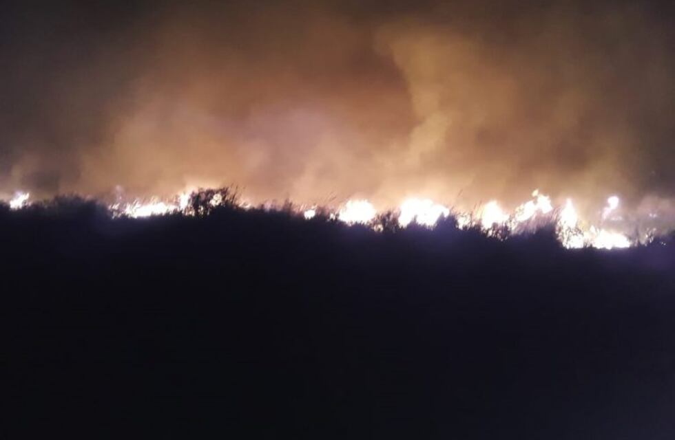 Incendio forestal afectó ocho hectáreas en Villa del Rosario