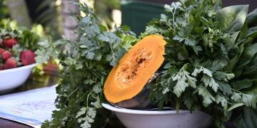 De la huerta al plato: confirman que los menús tendrán entre un 10 y un 30% de descuento\u002E (Web)\u002E