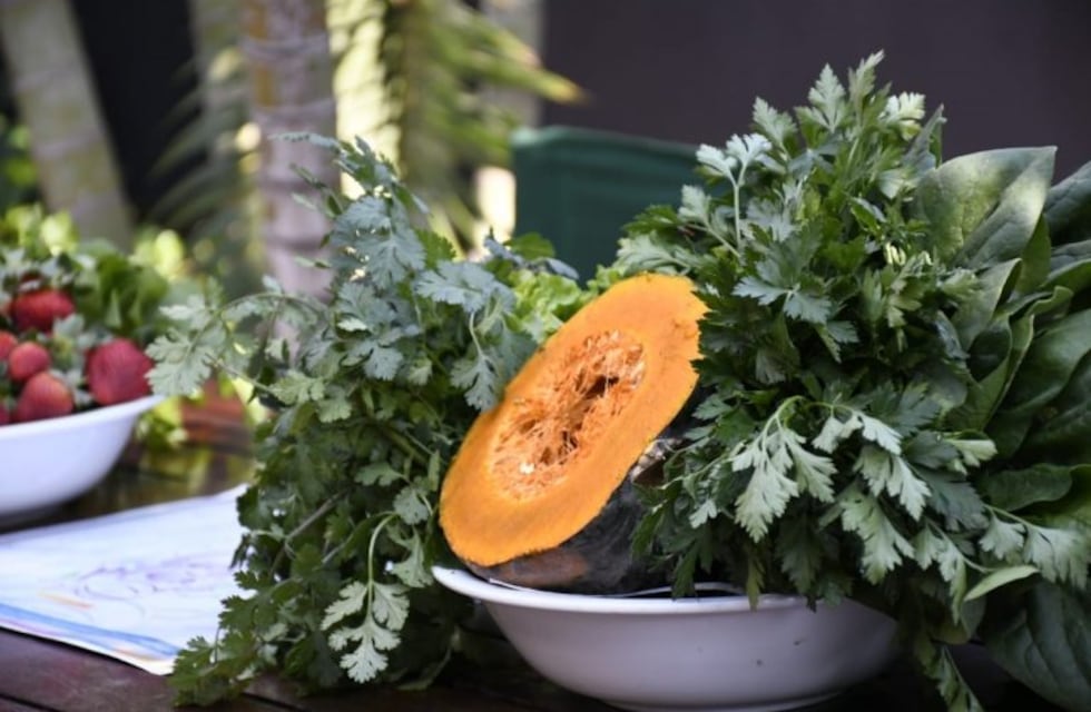 De la huerta al plato: confirman que los menús tendrán entre un 10 y un 30% de descuento