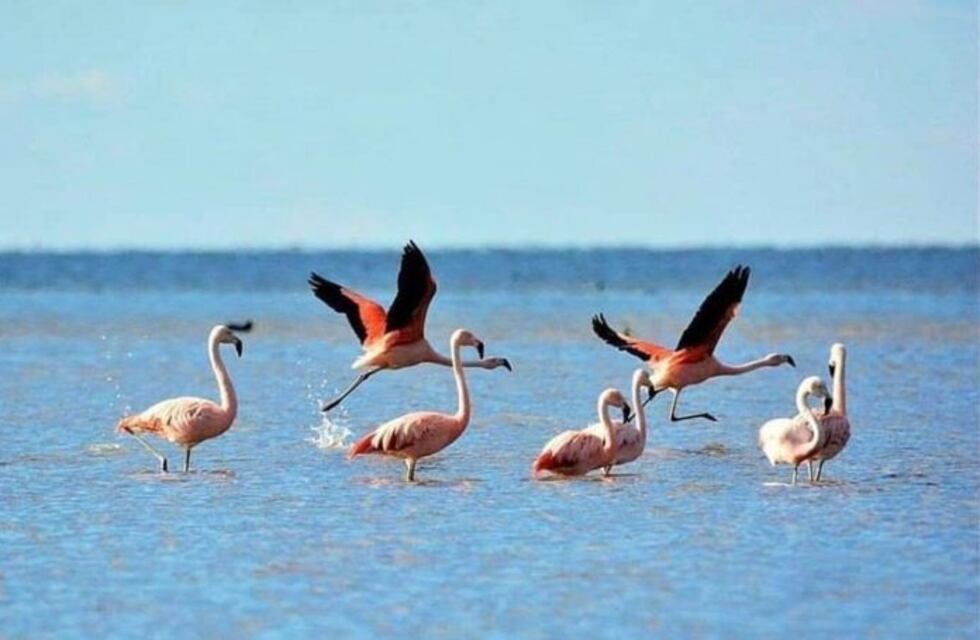 Pronostican buen tiempo para este miércoles en Ansenuza