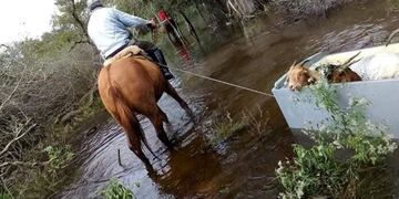 Situación crítica para los pequeños productores chaqueños (Web)\u002E