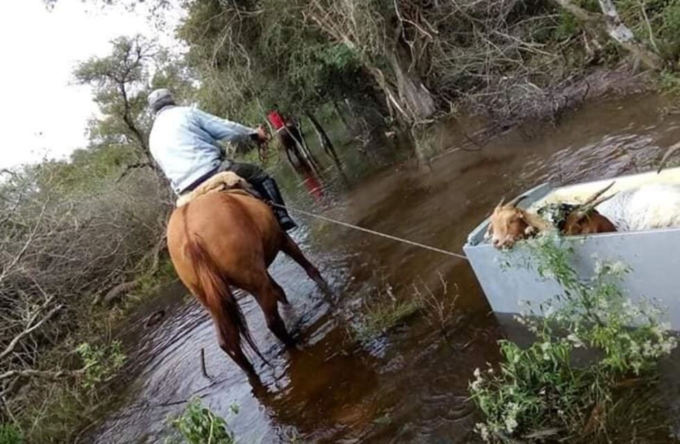 Sigue el malestar social por las inundaciones en el sudoeste chaqueño