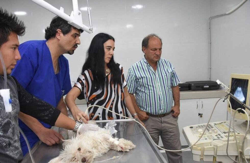 El Hospital de Mascotas de Salta recibió la donación de un ecógrafo