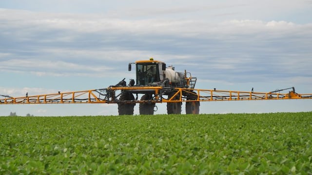 Fumigadora - Gil Gullickson