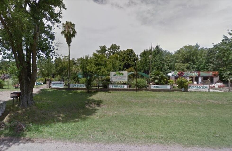 Violenta banda integrada por un nene de diez años arrasó con un vivero