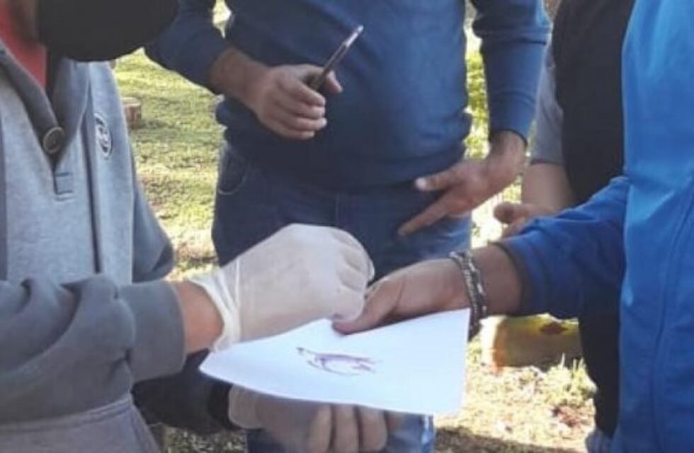 Intentó ingresar cocaína al penal de Eldorado en un paquete de harina