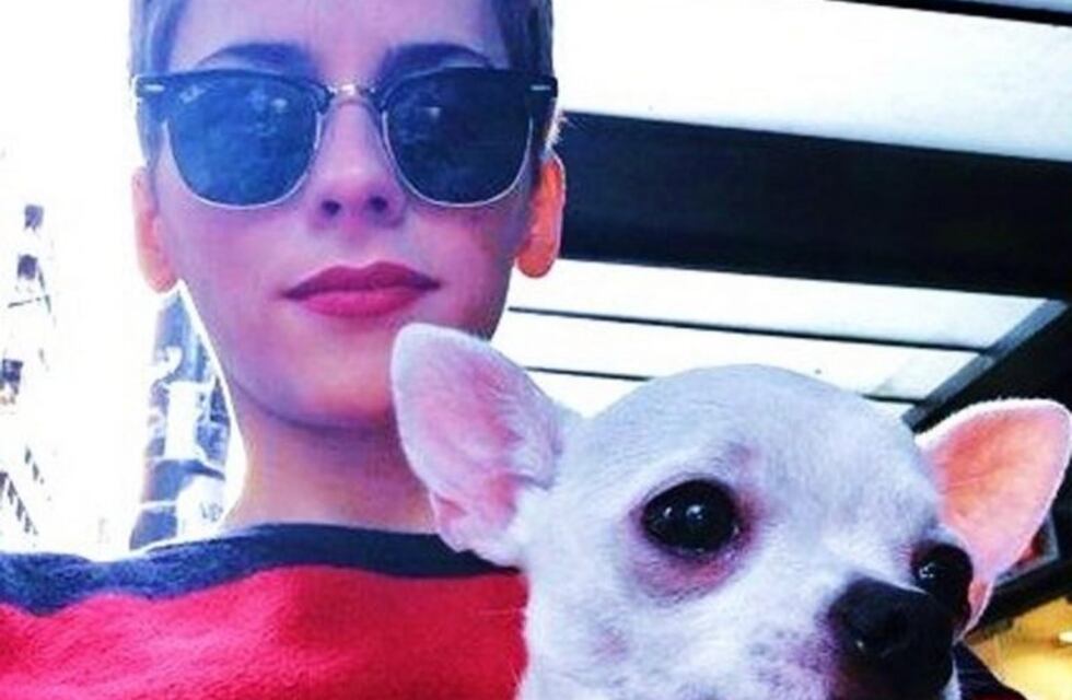 La emotiva historia de Zoe, la perrita de Rocío Gancedo