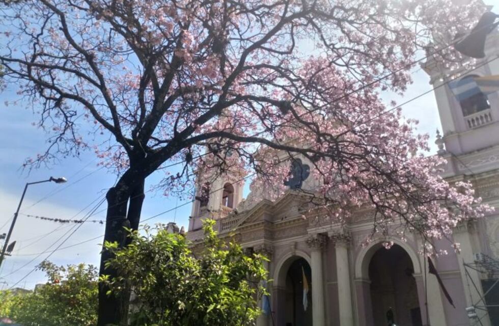 Clima en Salta: cómo estará el tiempo esta semana
