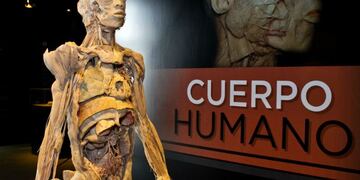 Cuerpo humano\u002E