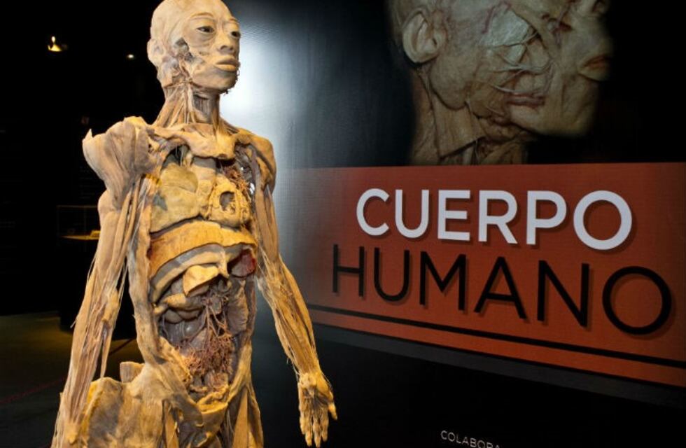 Llega la exposición Ser Humano