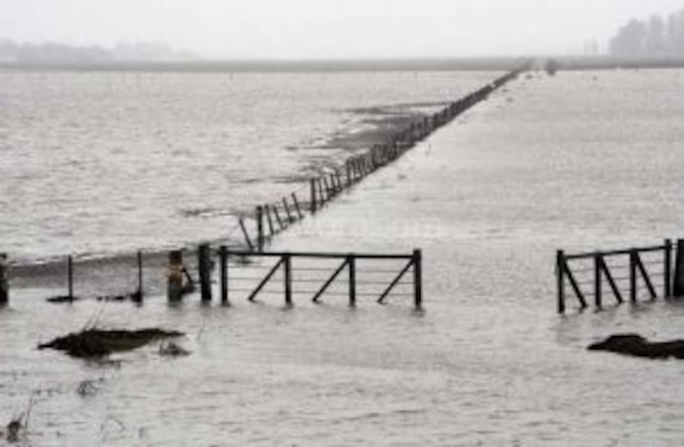 En un comunicado, la Sociedad Rural pidió obras y créditos accesibles para los productores damnificados