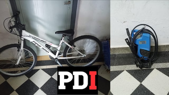 El material secuestrado por la PDI