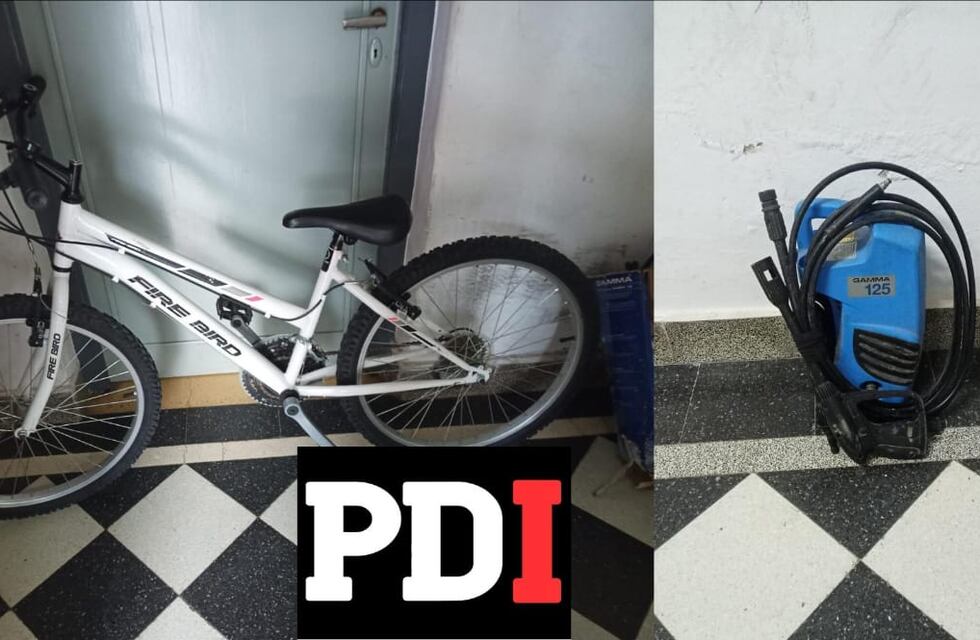 La PDI identificó a una mujer por robo, usurpación y amenazas
