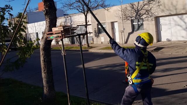 Poda en los barrios de Rafaela