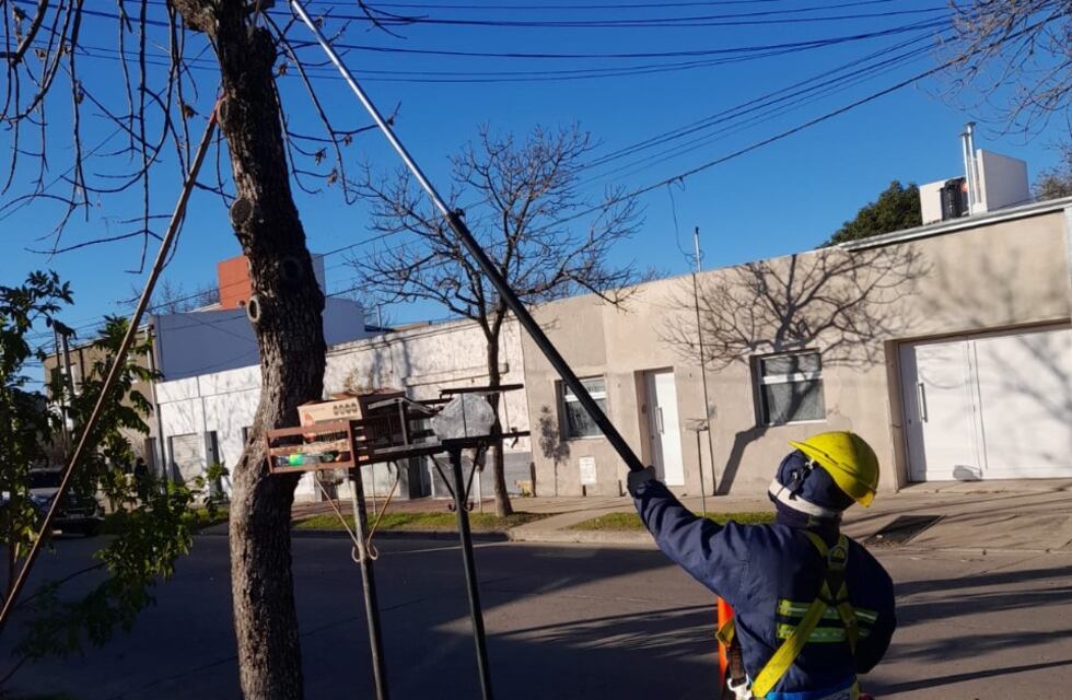 El plan de poda avanza en distintos barrios de Rafaela