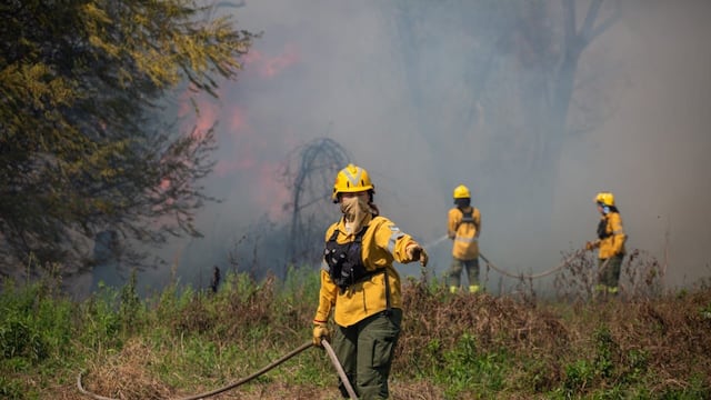 Incendio en Islas del Delta: Brigadistas de Entre Ríos y Santa Fé unen fuerzas para combatir el fuego
