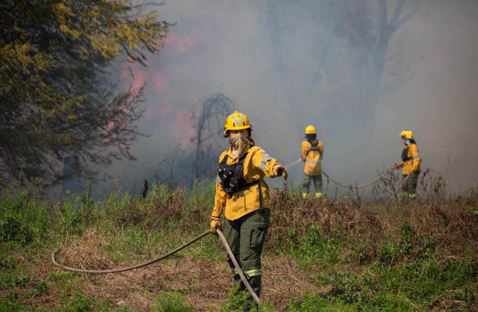Incendio en Islas del Delta: Brigadistas de Entre Ríos y Santa Fé unen fuerzas para combatir el fuego