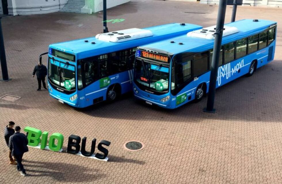 El mayor uso de biodiesel en el transporte público generará más puestos de trabajo