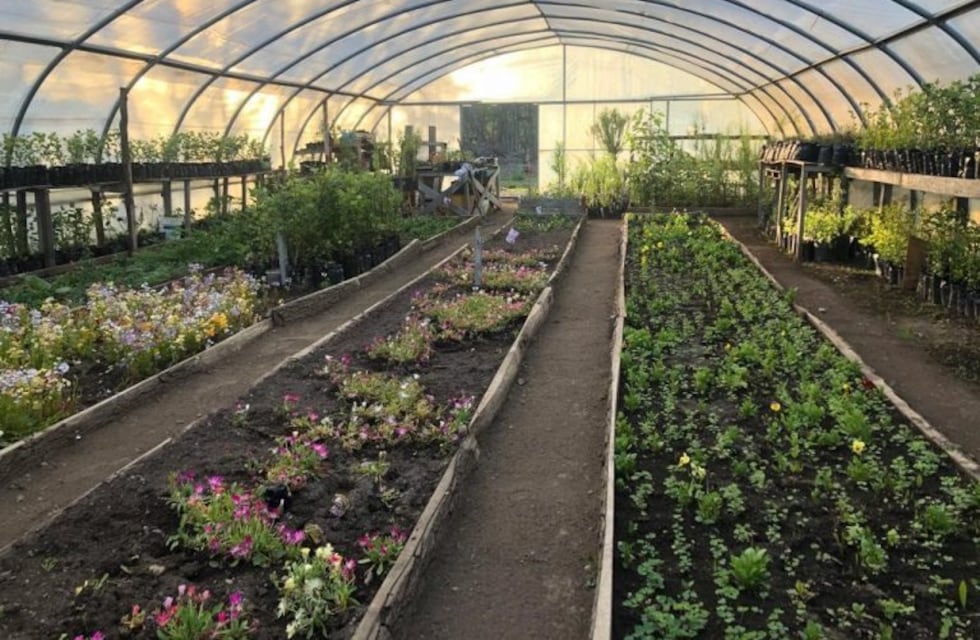 El invernadero de Tolhuin reabre sus puertas