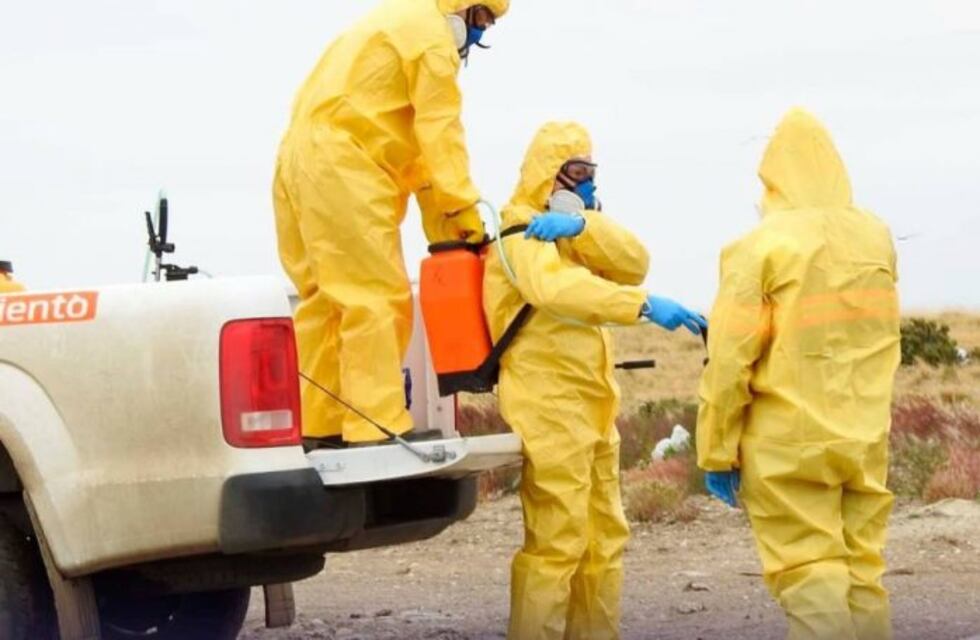 Realizaron la fumigación en el Vaciadero Municipal
