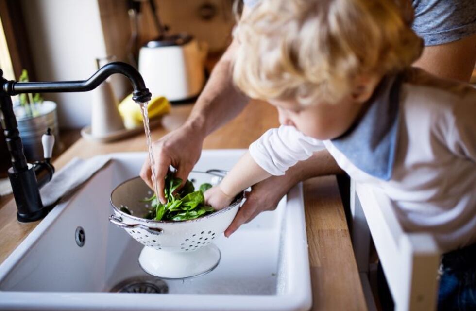 ¿Qué alimentos debemos lavar y cuáles no?