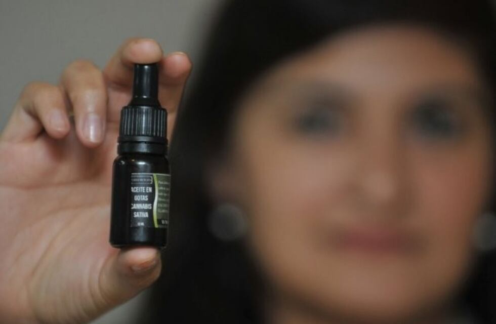 Aceite de cannabis: solicitan se informe cómo será la entrega en Rosales