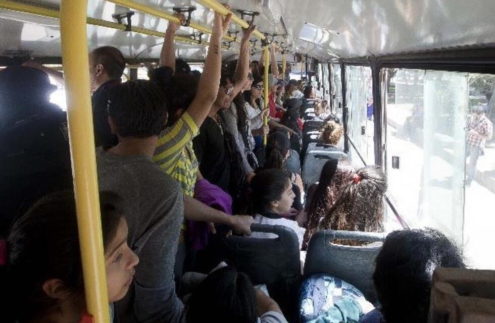 Una joven se bajó del colectivo al ver un robo y detuvo a golpes al asaltante