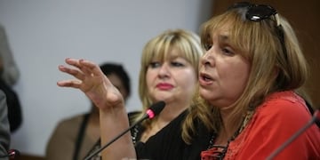 Diputada correntina Araceli Ferreyra
