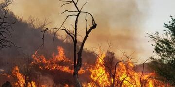 Incendios forestales en diferentes puntos de las sierras cordobesas\u002E (Foto: Gobierno de Córdoba)\u002E