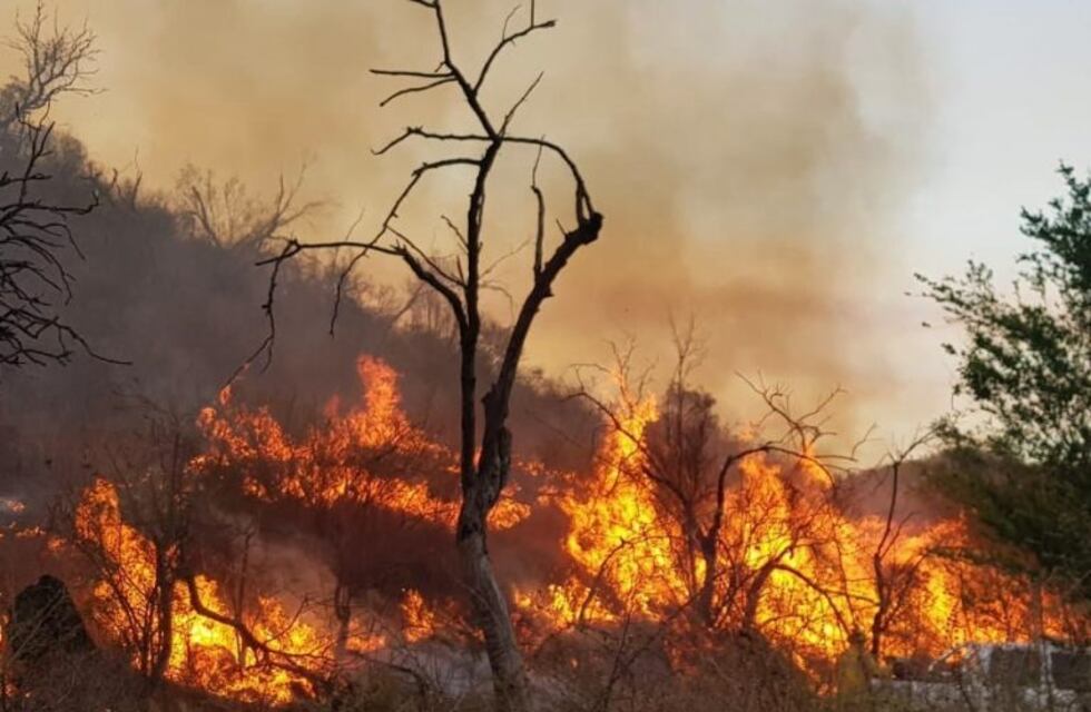 Incendios: los bomberos continúan combatiendo el fuego en San Pedro Norte