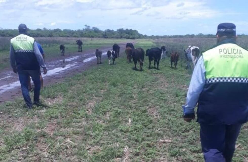 Recuperaron animales que eran destinados a la venta ilegal