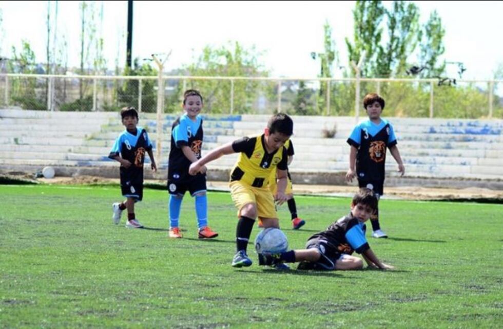 El césped sintético del estadio comenzó a recibir deportistas