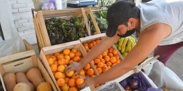 Familia mendocina invirtió el dinero de la IFE para una verdulería\u002E Foto: Orlando Pelichotti / Los Andes\u002E