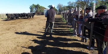 Jornada ganadera (Gobierno de La Pampa)