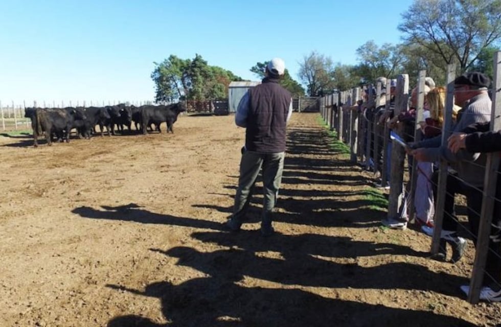 Realizaron jornada ganadera sobre alimentación y nutrición en los rodeos