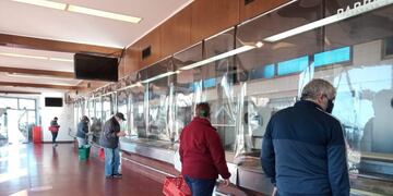 reapertura Frigorífico Anselmo