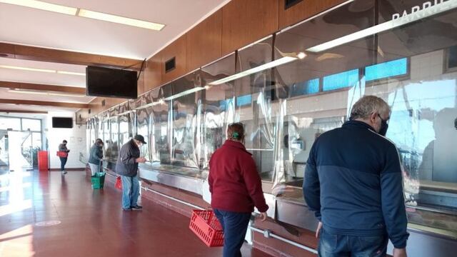 reapertura Frigorífico Anselmo