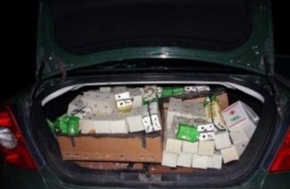 Detuvieron a un hombre que transportaba 300 cajas con aves