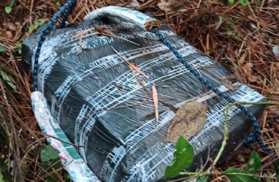 Gendarmería secuestró 29 kilos de marihuana en Puerto Esperanza