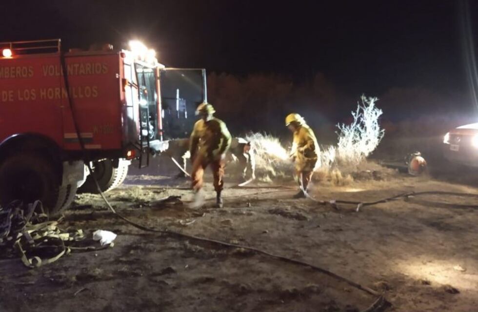 Los bomberos le dan su pelea al fuego que ya arrasó 40 hectáreas