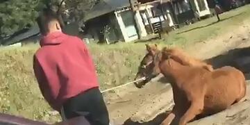 Hombre arrastró a caballo en Villa Gesell (Web)