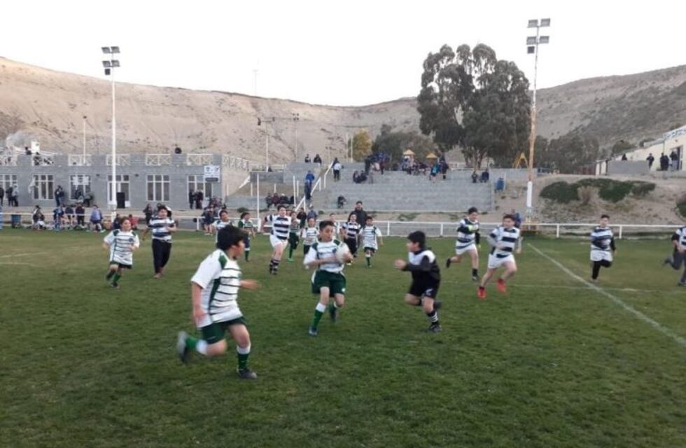 San Jorge Rugby Club lanzó campaña para césped natural