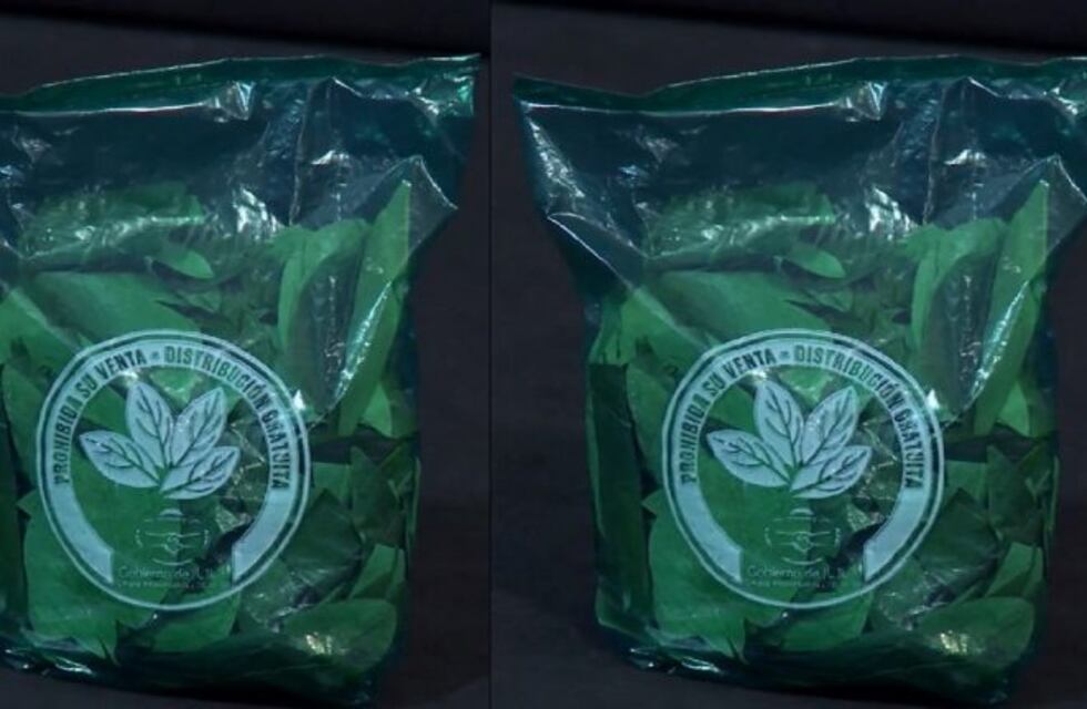 Rizzotti insiste para legalizar la importación y venta de hojas de coca