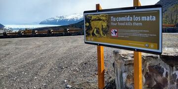 El Calafate: iniciaron la campaña "Tu Comida Los Mata"