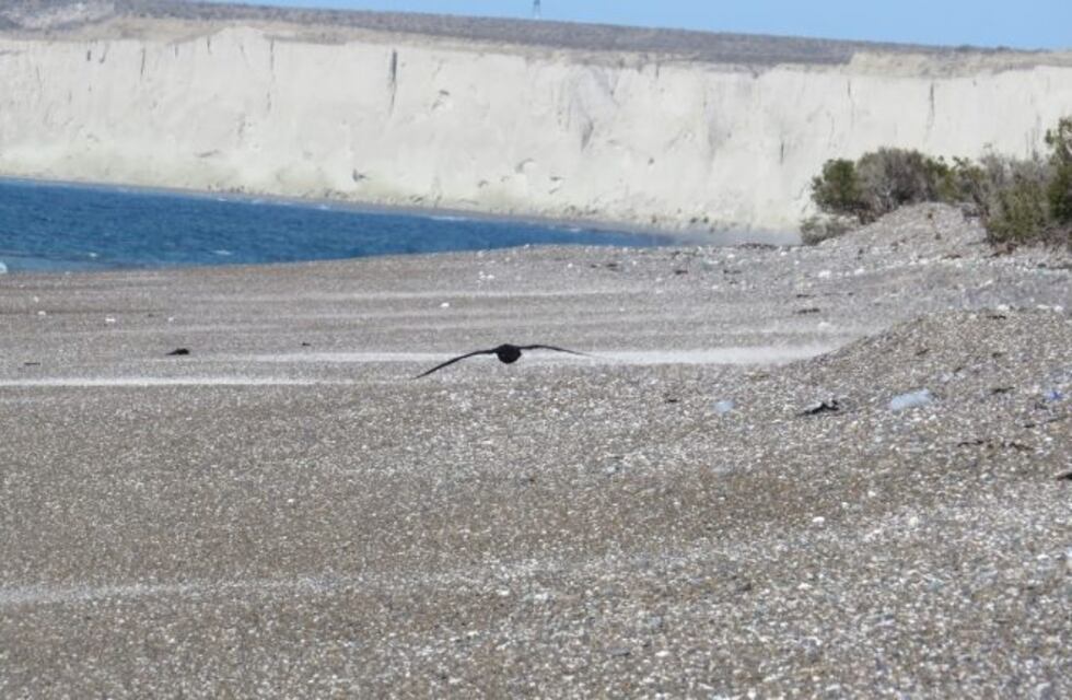 Suspendieron las actividades del Día del Pescador en Barrancas Blancas