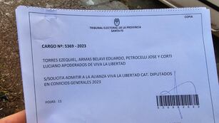 Presentación de "Viva la Libertad" en el Tribunal Electoral