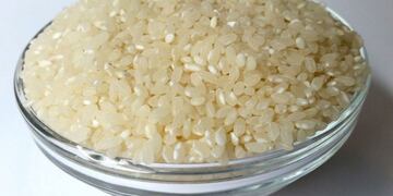 El producto no cuenta con el registro de \